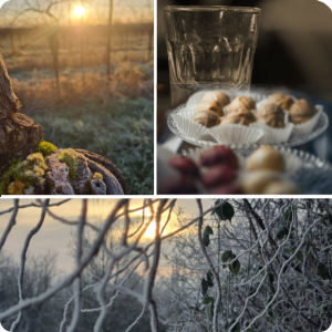 Mit den Pfalzschwestern auf geistreicher Winterwanderung