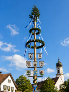 Maibaumstellen der Landjugend